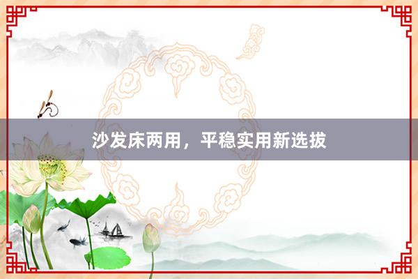 沙发床两用，平稳实用新选拔