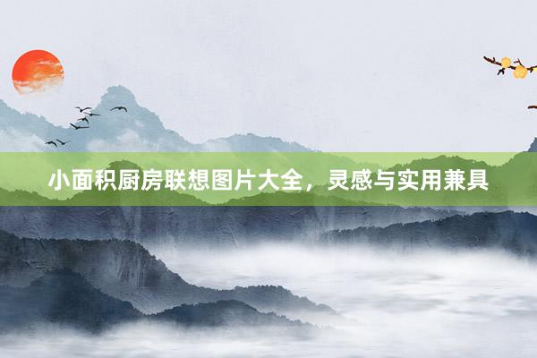 小面积厨房联想图片大全，灵感与实用兼具