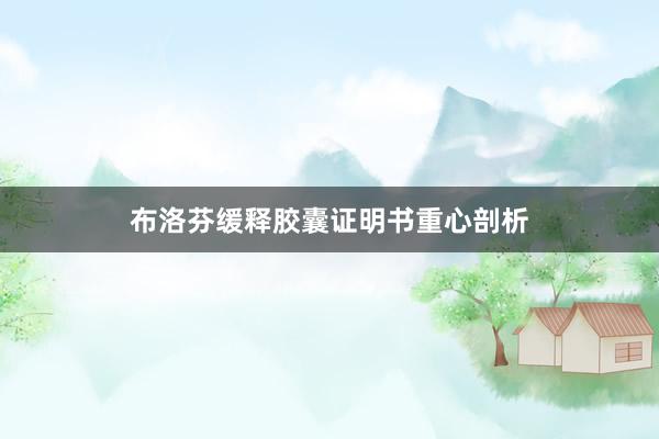 布洛芬缓释胶囊证明书重心剖析
